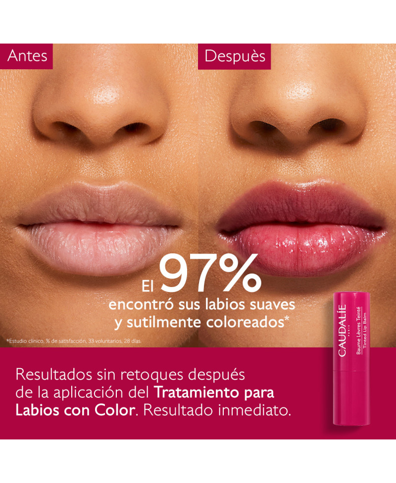 CAUDALIE Vinotherapist bálsamo de labios con color stick 4,5g