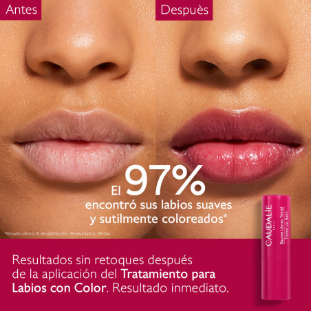 CAUDALIE Vinotherapist bálsamo de labios con color stick 4,5g