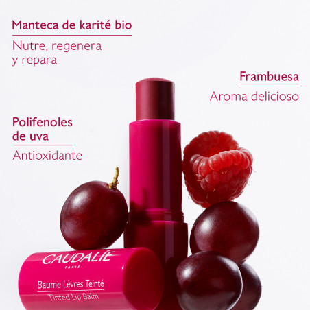 CAUDALIE Vinotherapist bálsamo de labios con color stick 4,5g