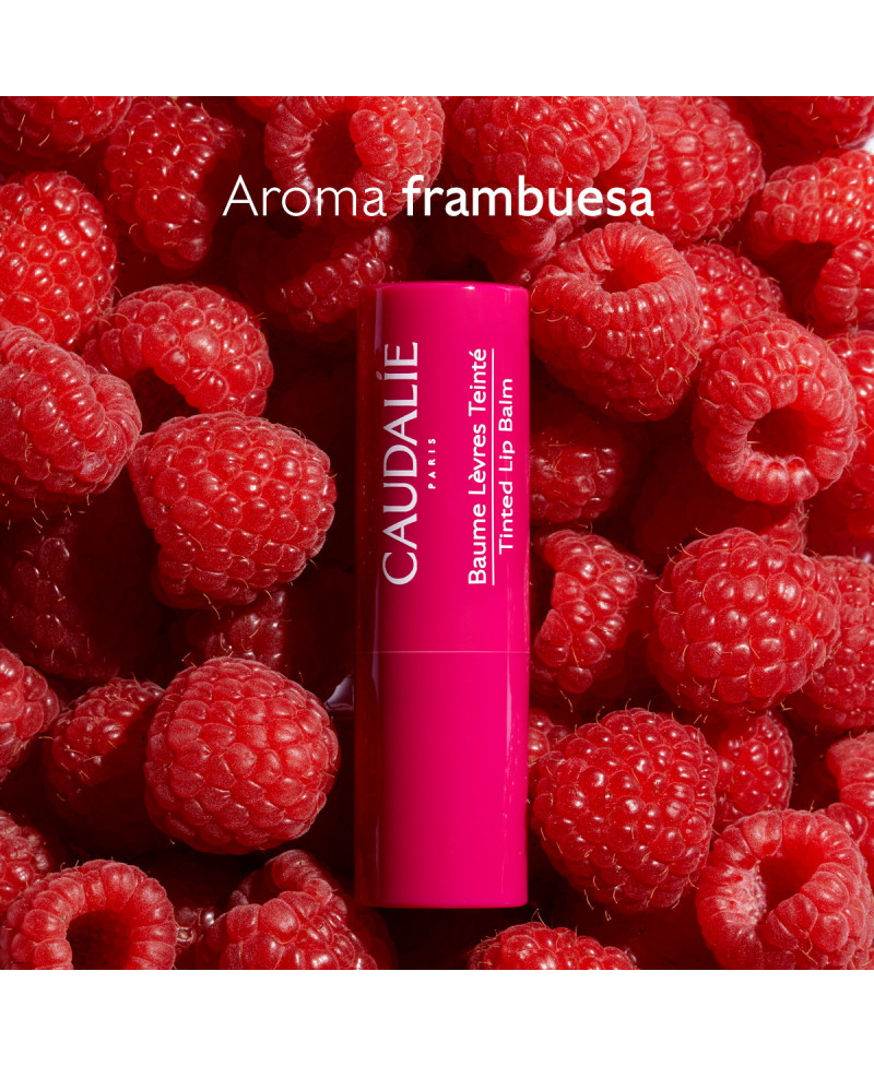 CAUDALIE Vinotherapist bálsamo de labios con color stick 4,5g