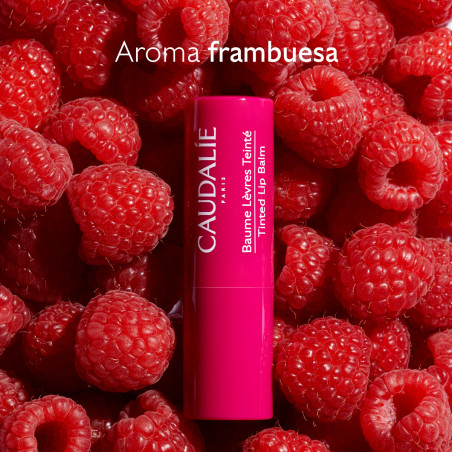 CAUDALIE Vinotherapist bálsamo de labios con color stick 4,5g