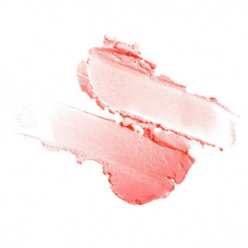 CAMALEON MAGIC COLOUR STICK LABIAL MELOCOTON 4 G