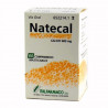 NATECAL 600 MG  COMPRIMIDOS MASTICABLES, 60 COMPRIMIDOS